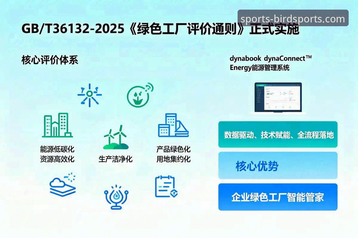 5个关键维度解析小鸟综合体育赛事分析的精准度——从数据到实战的全链路洞察